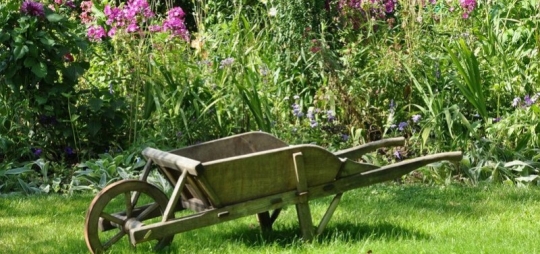 Comment utiliser du paillage de chanvre ? 